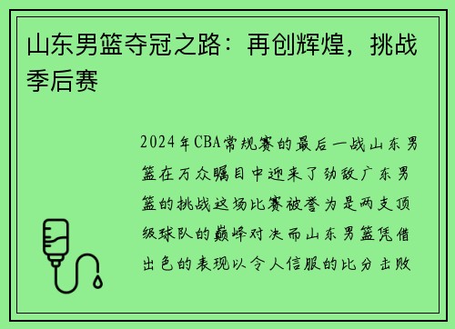 山东男篮夺冠之路：再创辉煌，挑战季后赛